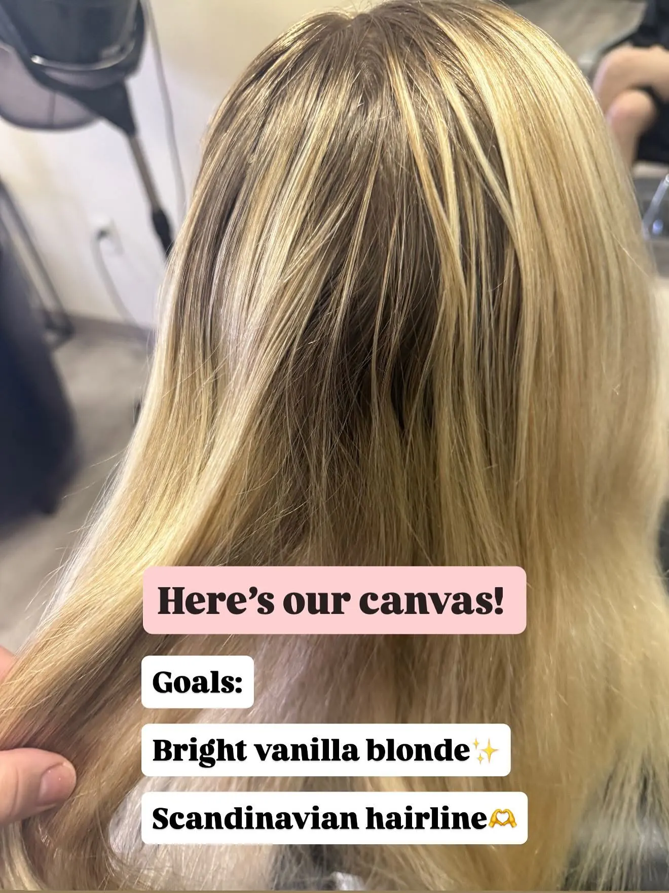 Here's our canvas. Goals: bright vanilla blonde, Scandinavian hairline — Cosmetology by Cami, Hammond, Louisiana