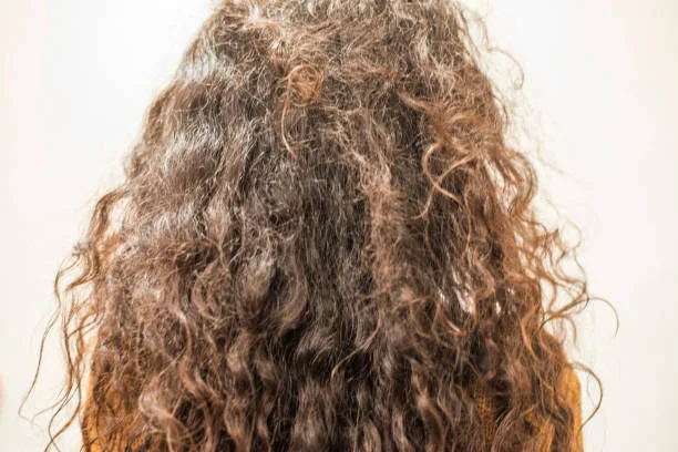 louisiana frizzy hair tips for winter