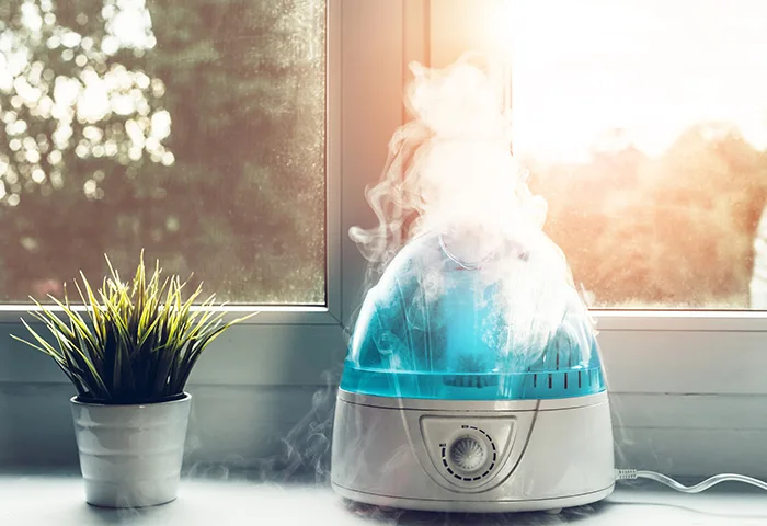 using humidifier indoors during louisiana winter for hair antifrizz